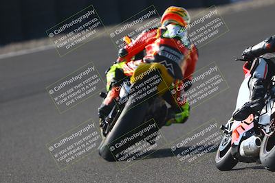 media/Nov-01-2025-TrackDaz (Sat) [[2b4d5192bc]]/C Group/240pm (Turn 6)/